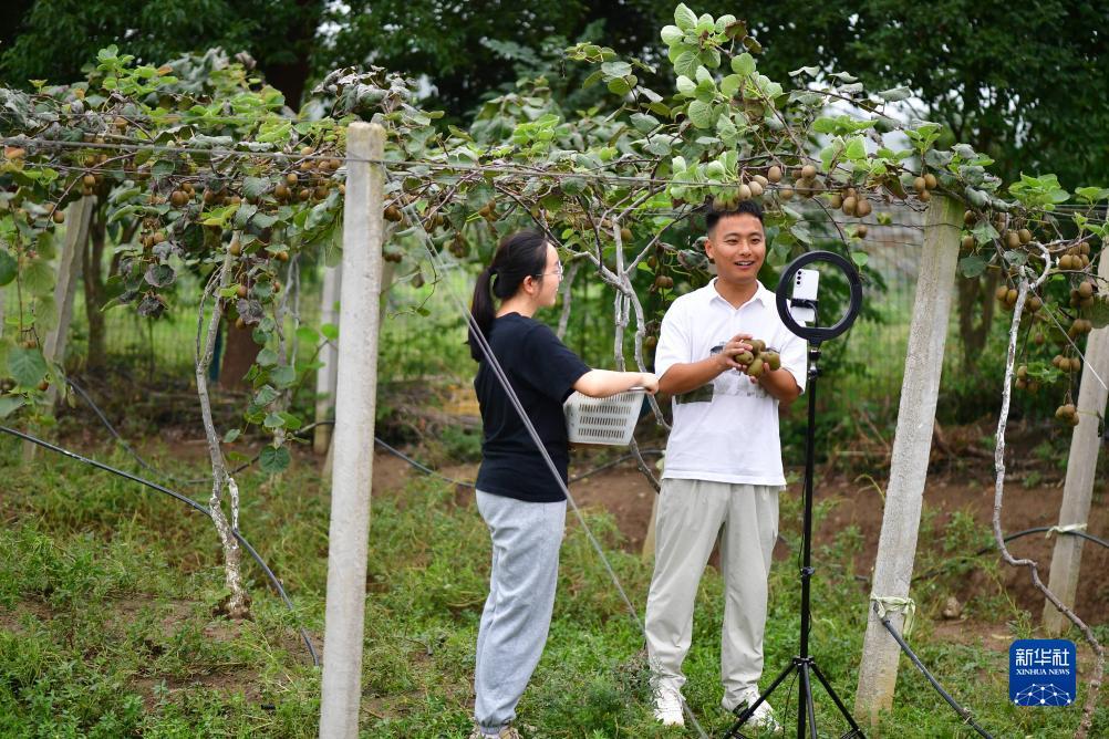捕鱼游戏网页版在线玩